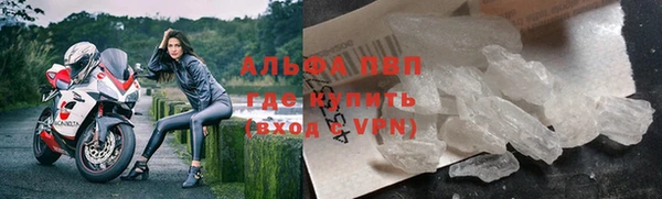 СК Абинск